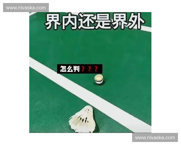 羽毛球换边规则：你不可不知的技巧与战略
